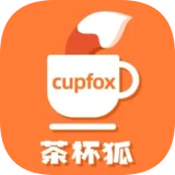 茶杯狐cupfox