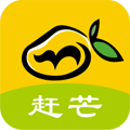 赶芒