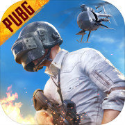 pubg国际服地铁逃生正版