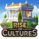 文化的崛起国际服