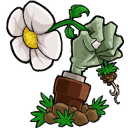 pvz转基因版